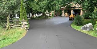 Best Driveway Pressure Washing  in Newark, NY